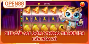 Siêu Cấp Ace Gồm 5 Thông Tin Hữu Ích Cần Nắm Rõ
